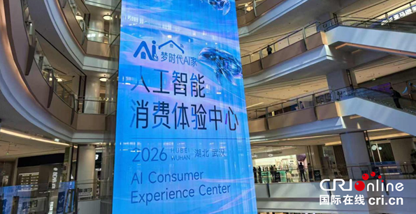 未来家长啥样？全国首个“AI家·人为智能消费履历中心”落地湖北
